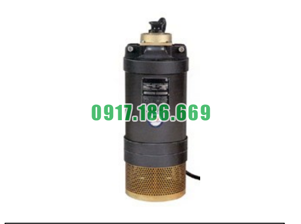 Bơm Chìm Khử Nước PP-500-HH