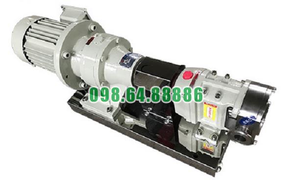 Máy bơm lobe 3RP-35 tốc độ quay 750 vòng/phút công suất 4kw áp suất 0.6 MPa