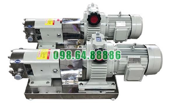 Máy bơm lobe 3RP-5 công suất 1.5kW áp suất 0.6 MPa đường kính kết nối 25 mm