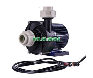 Máy bơm ly tâm dẫn động từ TDM-400ERU-DC48